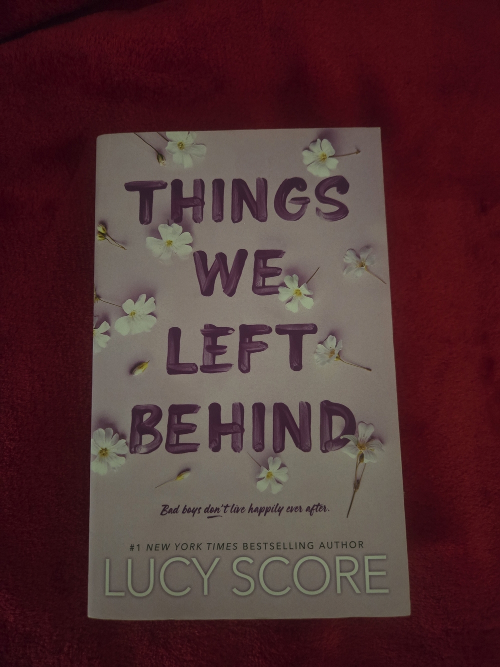 Things We Left Behind - Lucy Score Book